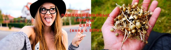 мескалин Абаза