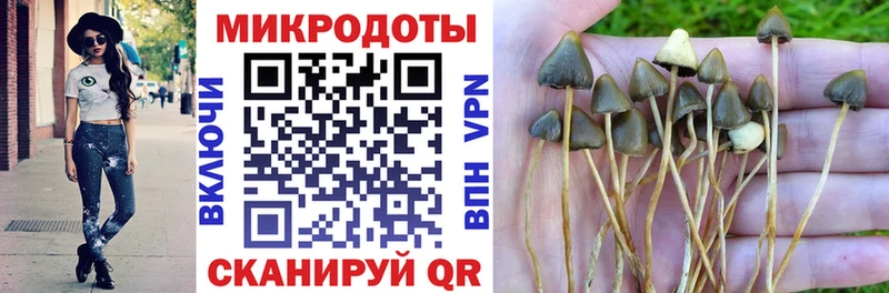 Псилоцибиновые грибы мицелий наркошоп KRAKEN зеркало Невинномысск